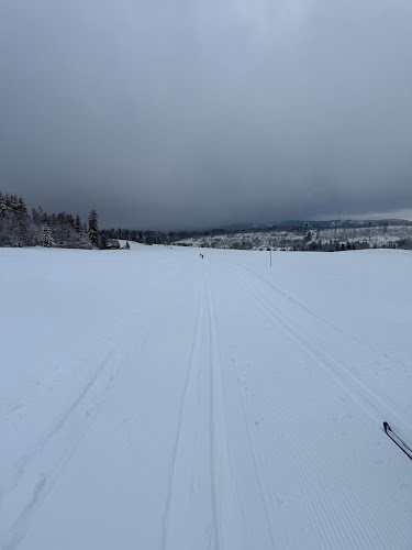 Find a ski Instructor in Altenau Skischule Torfhaus & Sonnenberg Find a ski Instructor in Altenau Skischule Torfhaus & Sonnenberg